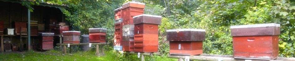 Torbay Beekeepers